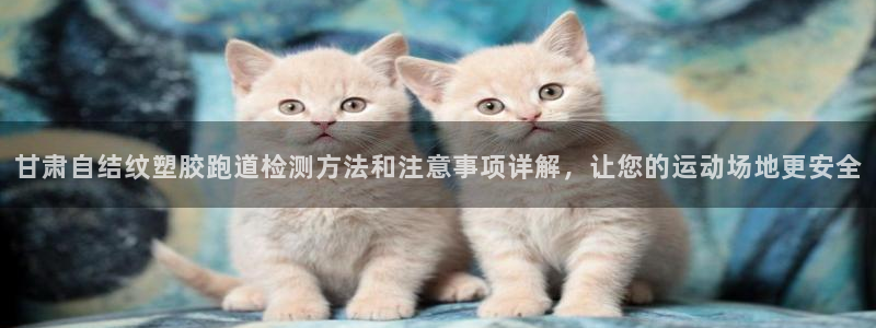 777814红·足一世比分篮球：甘肃自结纹塑胶跑道检测方法和注意事项详解，让您的运动场地更安全