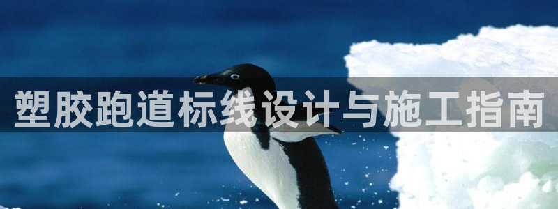 红足1世1站：塑胶跑道标线设计与施工指南