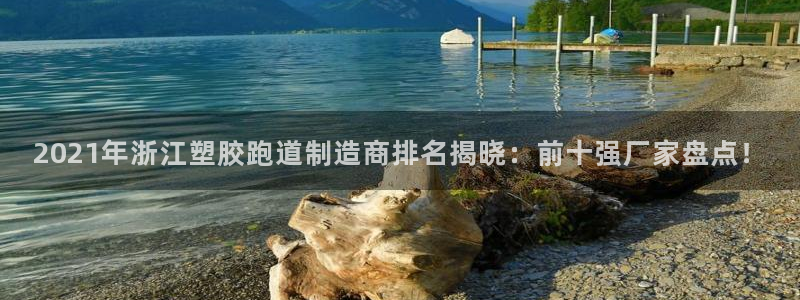 百度红足一1是干什么的：2021年浙江塑胶跑道制造商排名揭晓：前十强厂家盘点！