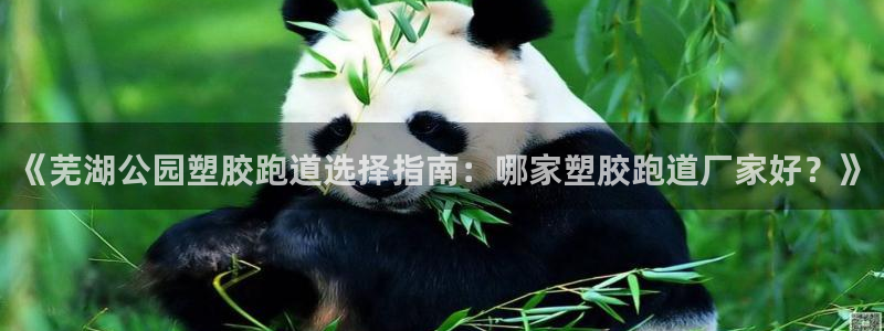 百度红足一1是什么样子的