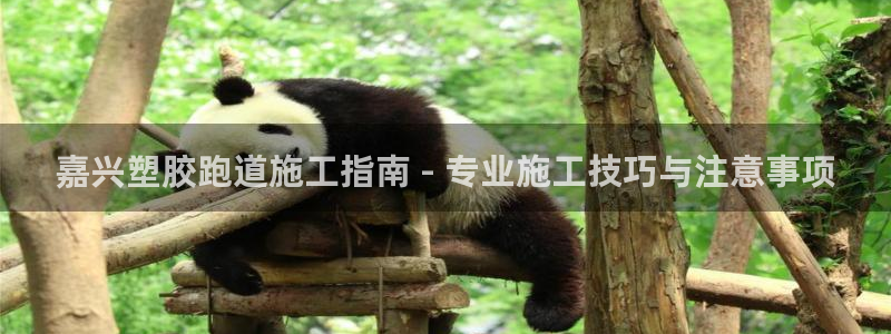 红足一1世77814