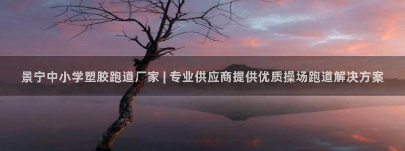 红足 世足球手机网
