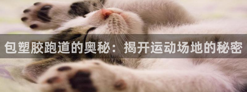 红足一1世皇冠登录