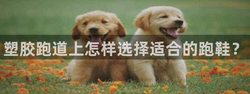 百度红足一1视频在线观看