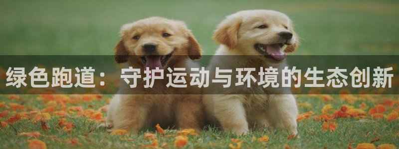 红足一1世