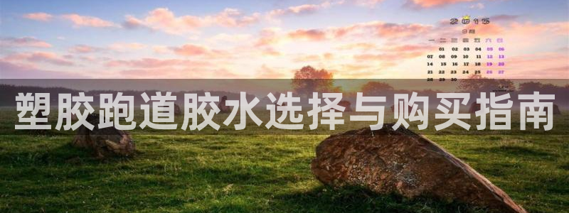 红足i世足球手机网