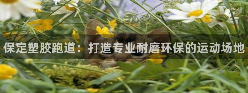 红足1世1站