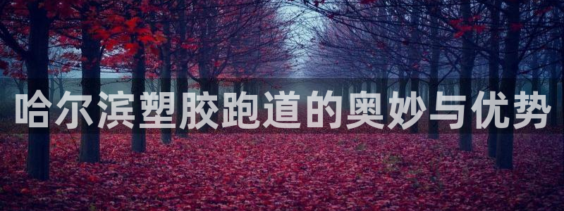 红足一1世比分球探：哈尔滨塑胶跑道的奥妙与优势