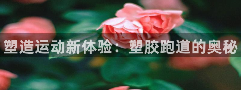 百度红足一1是为什么