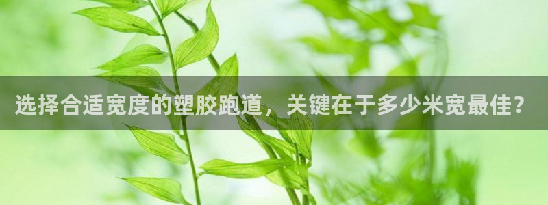 红足一1世66814新宝