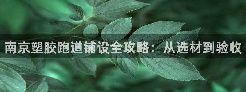 红足一1世手机皇冠