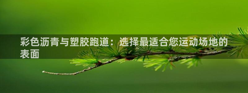 红足一1世666814足球：彩色沥青与塑胶跑道：选择最适合您运动场地的
表面
