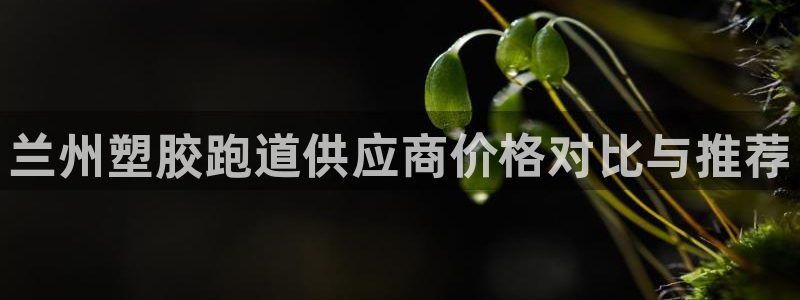 红足一1世比分球探：兰州塑胶跑道供应商价格对比与推荐