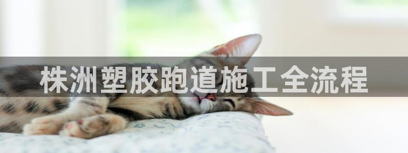 红足一1世77814