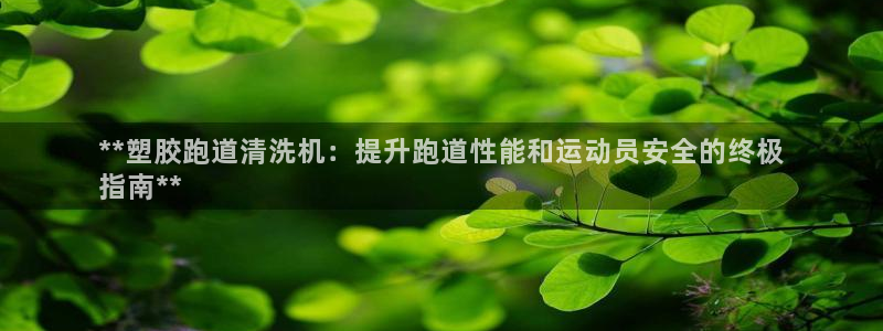 红足一比分网