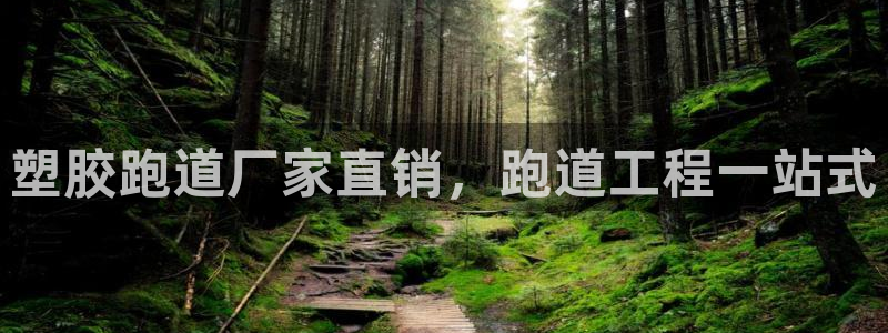 百度红足一1使用说明