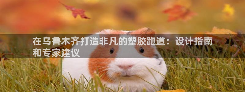 红足一1世官网足球推荐真人