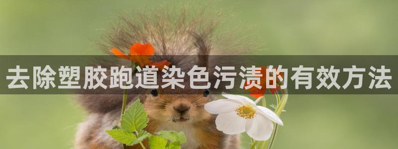 红足一1世