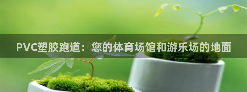 红足1世手机下载：PVC塑胶跑道：您的体育场馆和游乐场的地面
