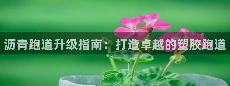 红足一比分网：沥青跑道升级指南：打造卓越的塑胶跑道