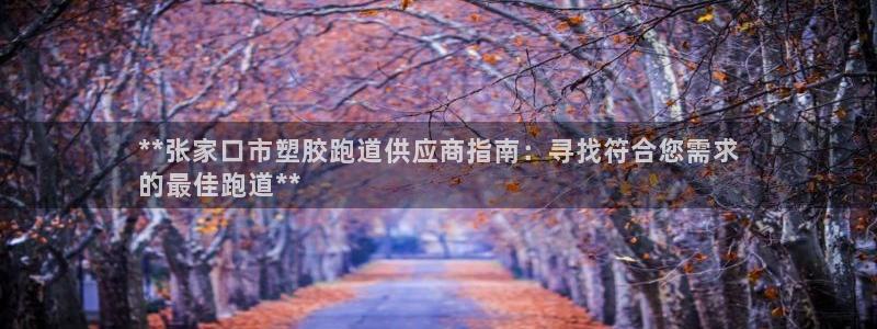 红足1世1站2站管理网：**张家口市塑胶跑道供应商指南：寻找符合您需求
的最佳跑道**