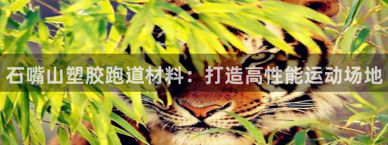 红足1世手机板：石嘴山塑胶跑道材料：打造高性能运动场地