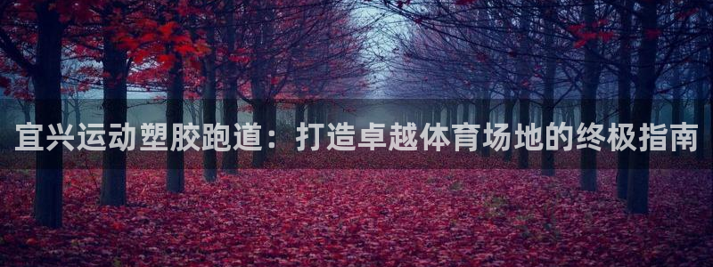 红世一足球比分