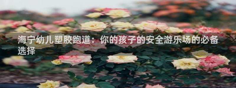 红足一1世666814足球比分网：海宁幼儿塑胶跑道：你的孩子的安全游乐场的必备
选择