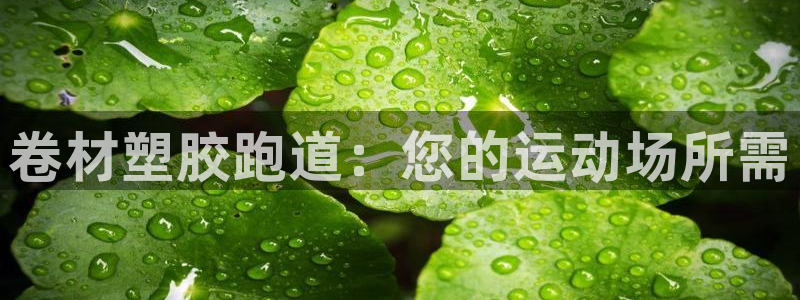 4633333开奖结果4176一点红：卷材塑胶跑道：您的运动场所需