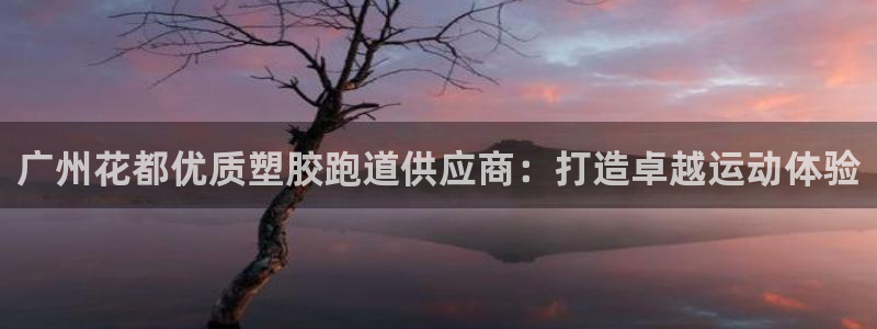 红足一1世平台：广州花都优质塑胶跑道供应商：打造卓越运动体验