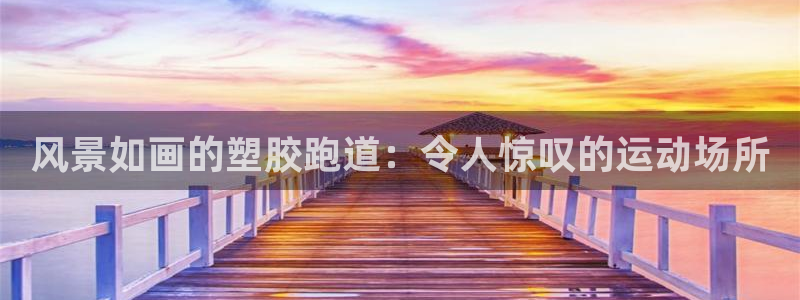 333814红足1世：风景如画的塑胶跑道：令人惊叹的运动场所
