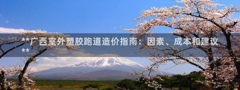 红足一1世手机版新皇冠：**广西室外塑胶跑道造价指南：因素、成本和建议
**