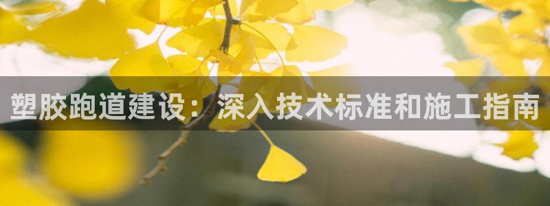 红足1一世红：塑胶跑道建设：深入技术标准和施工指南