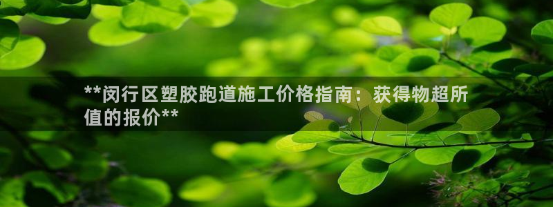红足一丰：**闵行区塑胶跑道施工价格指南：获得物超所
值的报价**