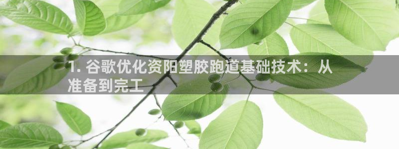 百度红足一1是什么样子的：1. 谷歌优化资阳塑胶跑道基础技术：从
准备到完工