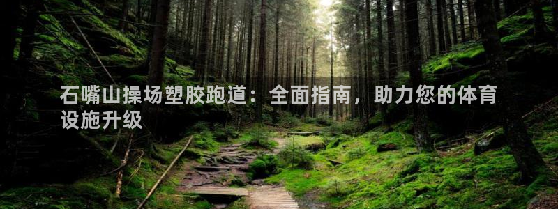 红足一1世手机版新皇冠：石嘴山操场塑胶跑道：全面指南，助力您的体育
设施升级