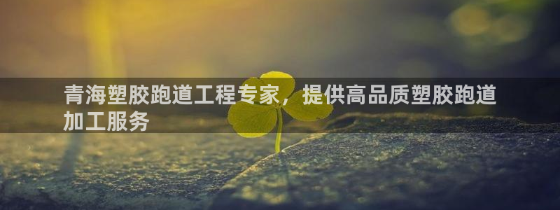 55814红足1世：青海塑胶跑道工程专家，提供高品质塑胶跑道
加工服务