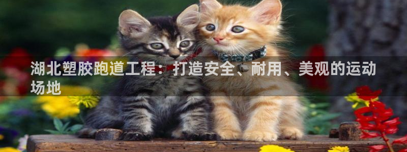 红足 世足球手机网：湖北塑胶跑道工程：打造安全、耐用、美观的运动
场地