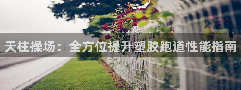红足1世官网：天柱操场：全方位提升塑胶跑道性能指南