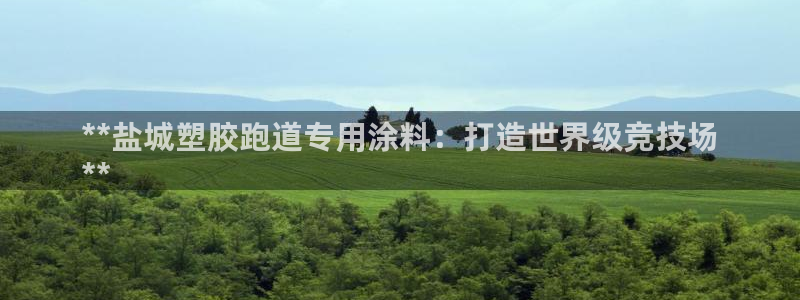 333814红·足一世比分：**盐城塑胶跑道专用涂料：打造世界级竞技场
**