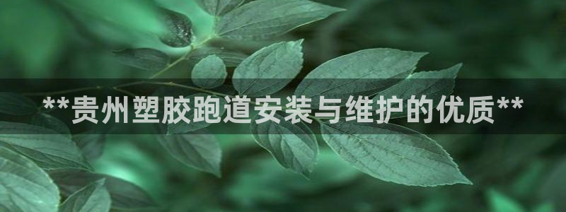 红足1世手机板：**贵州塑胶跑道安装与维护的优质**