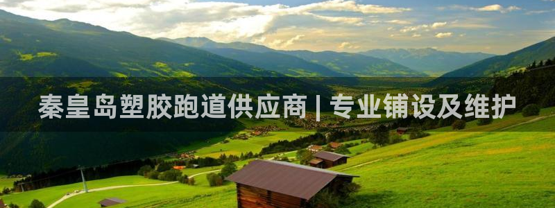 44814红足：秦皇岛塑胶跑道供应商 | 专业铺设及维护