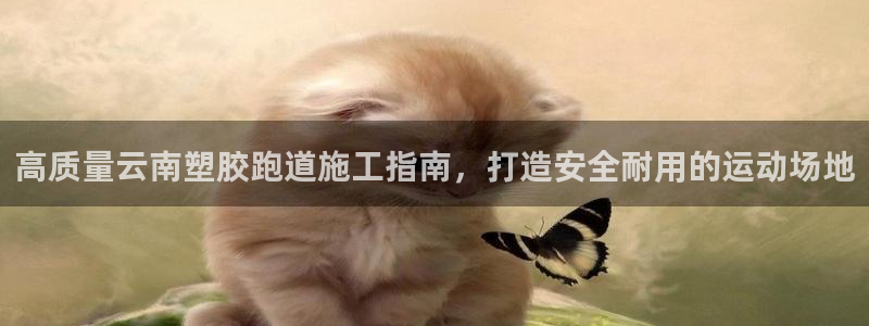 百度红足一1是什么样子的：高质量云南塑胶跑道施工指南，打造安全耐用的运动场地