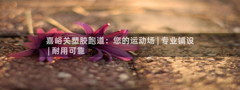 百度红足一1是干什么的：嘉峪关塑胶跑道：您的运动场 | 专业铺设
 | 耐用可靠