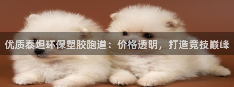 红足一1世比分：优质泰坦环保塑胶跑道：价格透明，打造竞技巅峰