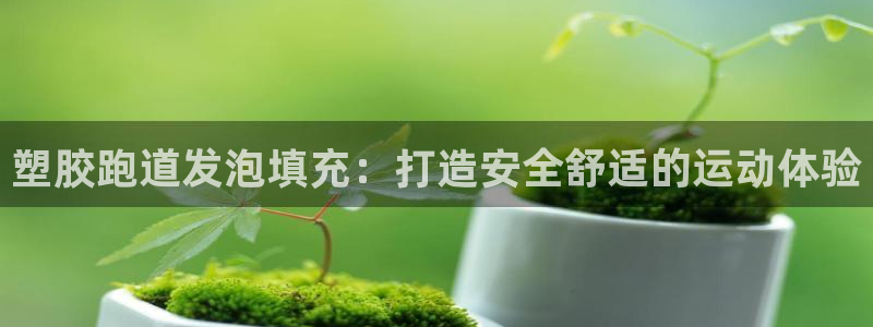 红足1世手足球比分：塑胶跑道发泡填充：打造安全舒适的运动体验