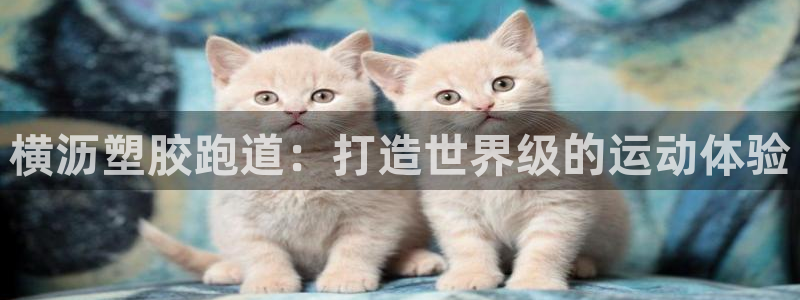 百度红足一1世：横沥塑胶跑道：打造世界级的运动体验