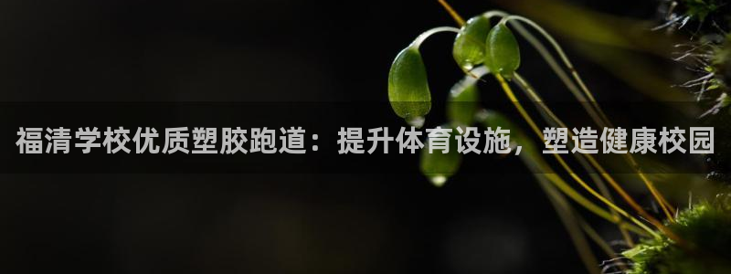 红足l一世开奖现场62ty：福清学校优质塑胶跑道：提升体育设施，塑造健康校园