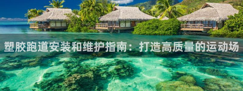 红足一比分网：塑胶跑道安装和维护指南：打造高质量的运动场