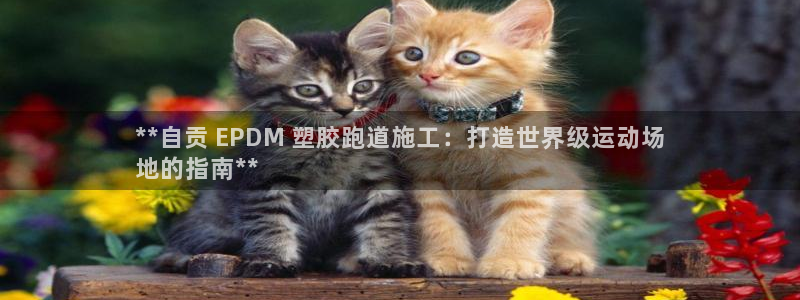 红足一1世66814：**自贡 EPDM 塑胶跑道施工：打造世界级运动场
地的指南**